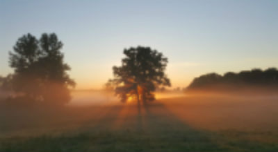 image of franklin city foggy morning